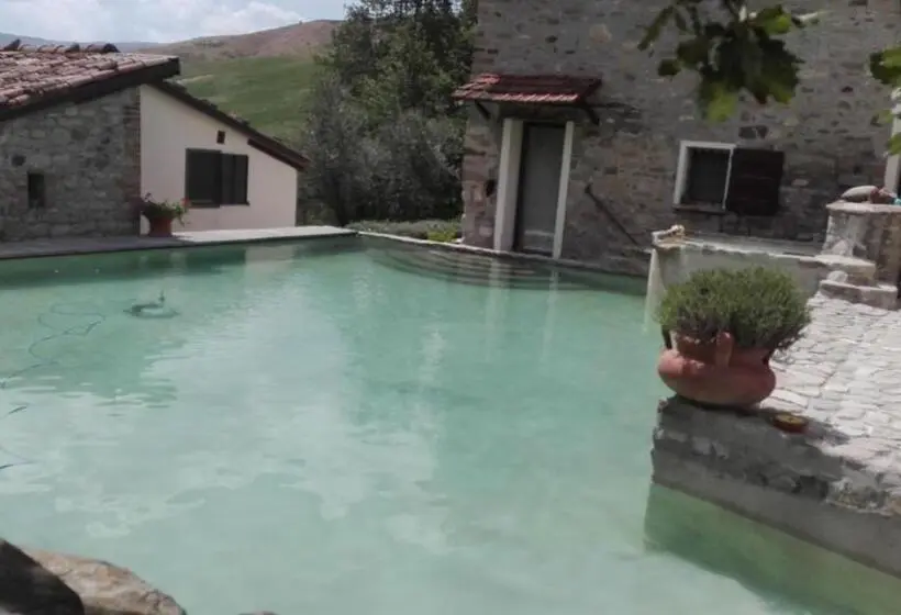 B&b Podere Calvanella