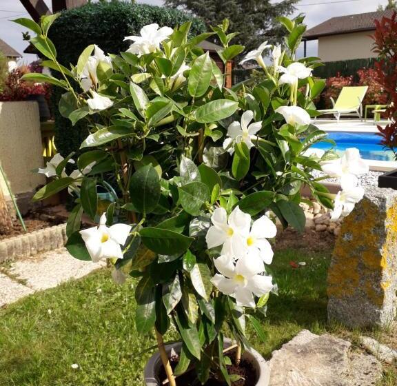 민박 Chambres D Hôtes Le Chalet