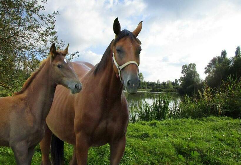 Bed and Breakfast Espace Nature Studio Indépendant Proche Du Parc Des Oiseaux