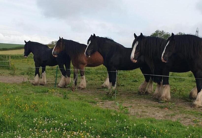 ベッドアンドブレックファースト Higher Biddacott Farm