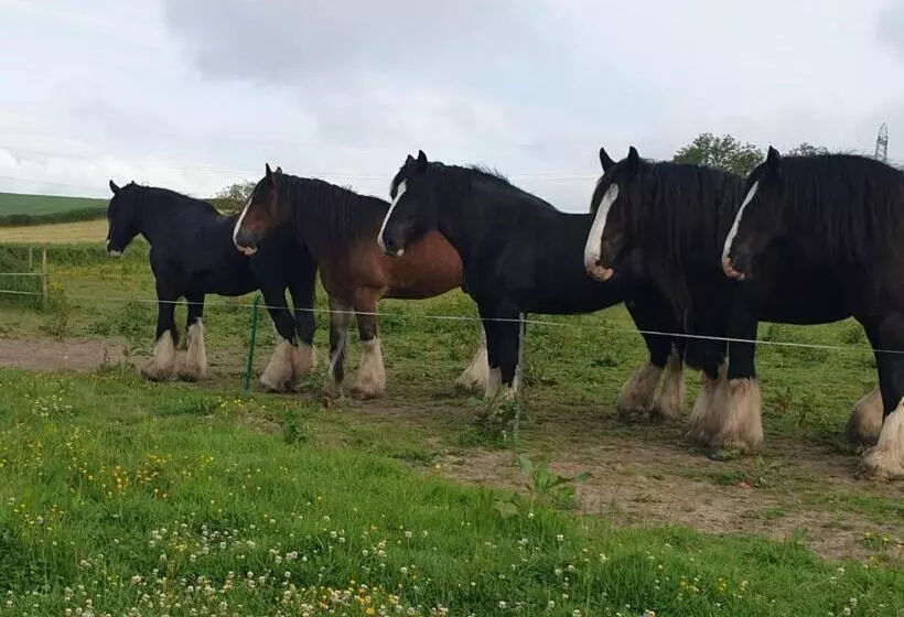 ベッドアンドブレックファースト Higher Biddacott Farm