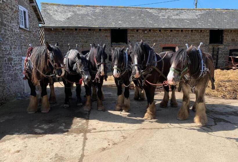 ベッドアンドブレックファースト Higher Biddacott Farm