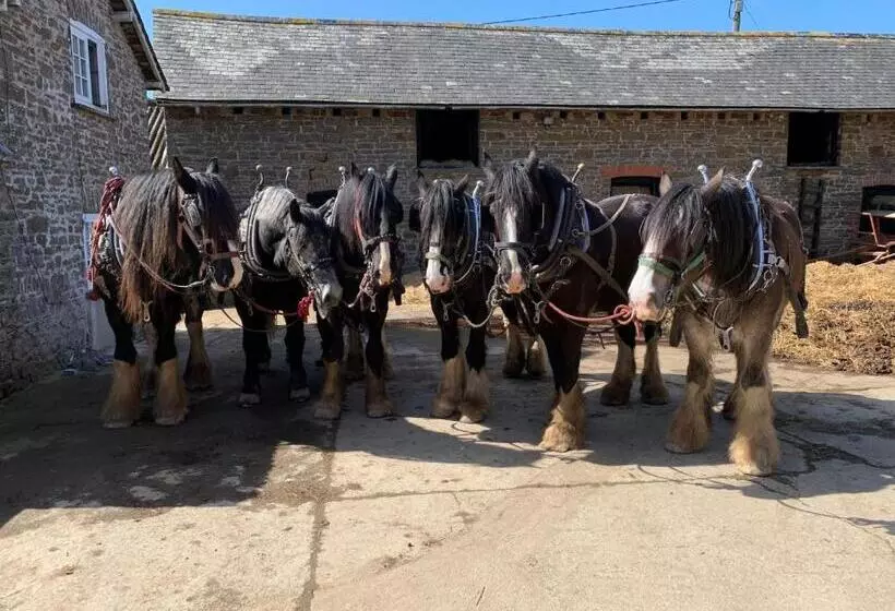 ベッドアンドブレックファースト Higher Biddacott Farm