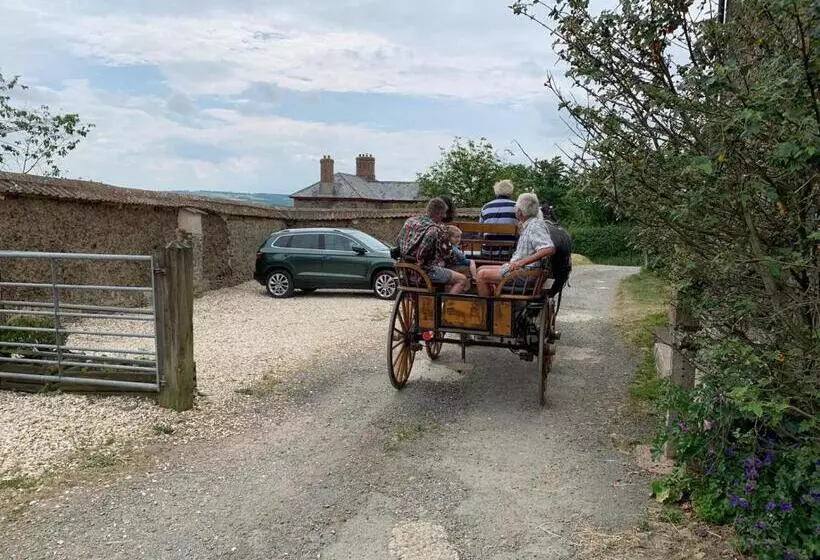 ベッドアンドブレックファースト Higher Biddacott Farm