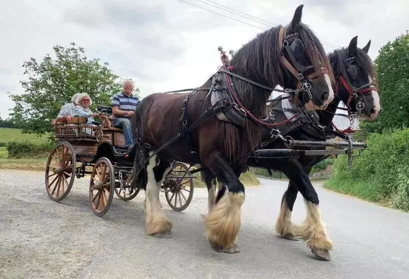 ベッドアンドブレックファースト Higher Biddacott Farm