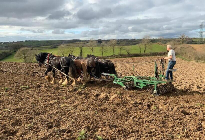 ベッドアンドブレックファースト Higher Biddacott Farm