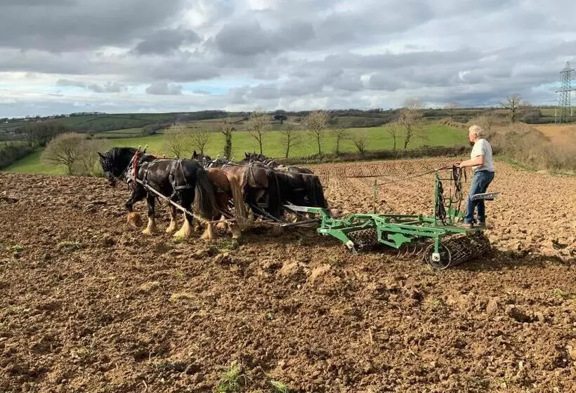 ベッドアンドブレックファースト Higher Biddacott Farm