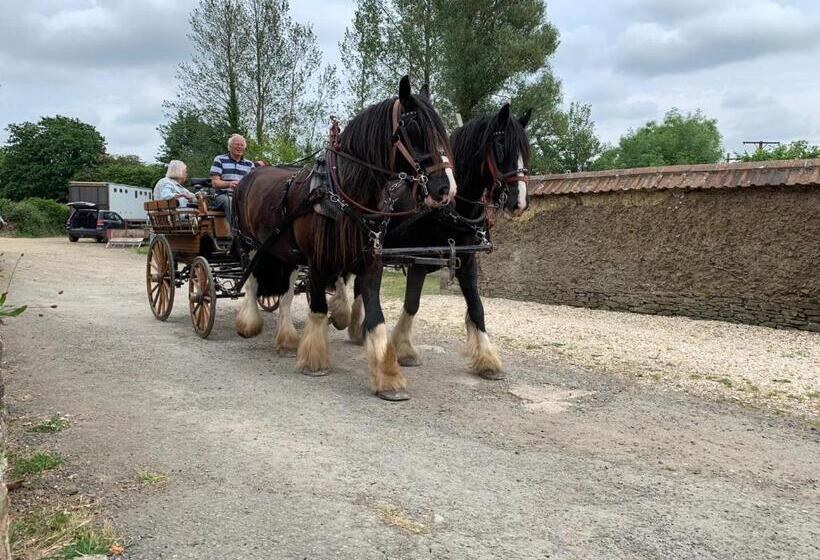 ベッドアンドブレックファースト Higher Biddacott Farm