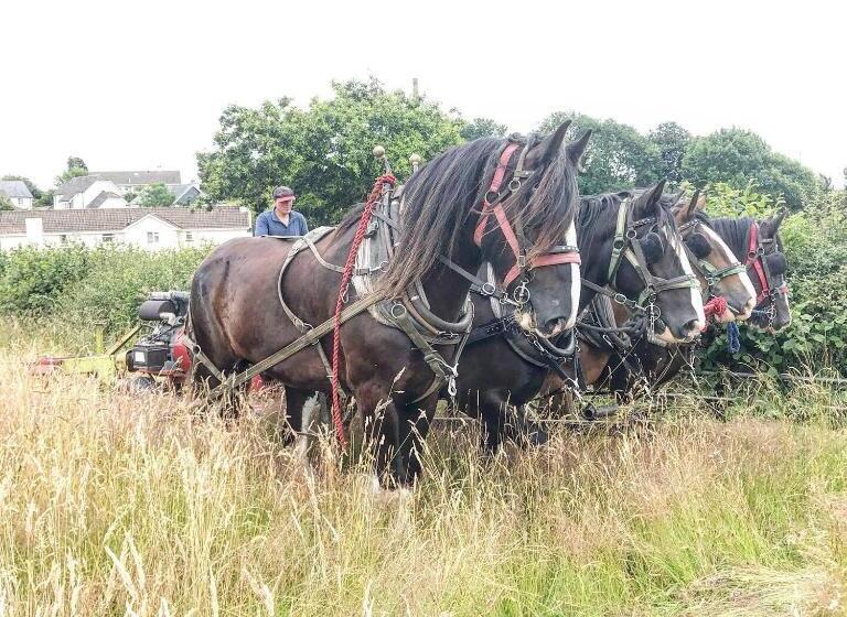 ベッドアンドブレックファースト Higher Biddacott Farm