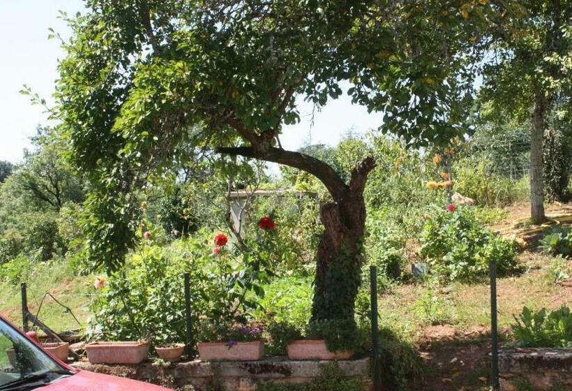 צימר Le Canard Enchanté