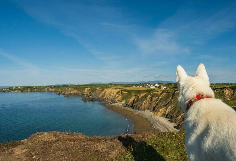 مبيت وإفطار The Knock Guest House