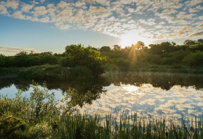 مبيت وإفطار The Knock Guest House