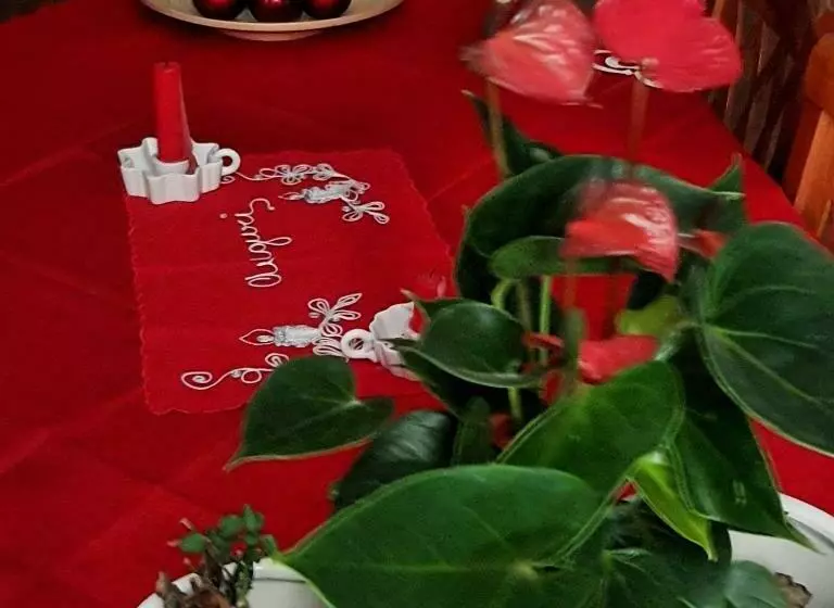 پانسیون B&b Tenuta Di Vado Piano Nella Selva Di Circe
