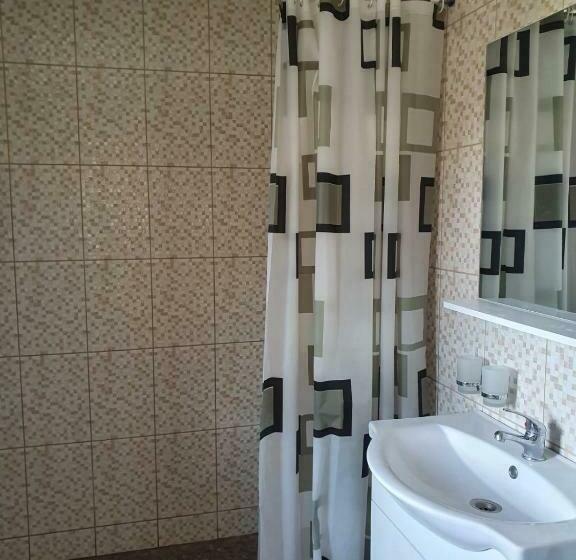 פנסיון La Bustea