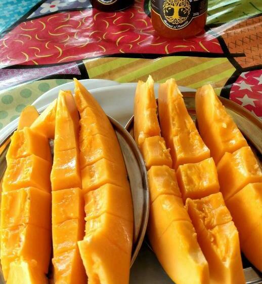 펜션 Pousada Estância Park