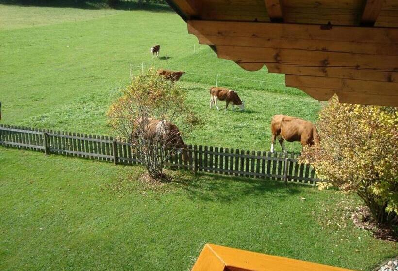 ペンション Room In Apartment Ferienhaus Kahr Appartment Rosbrand