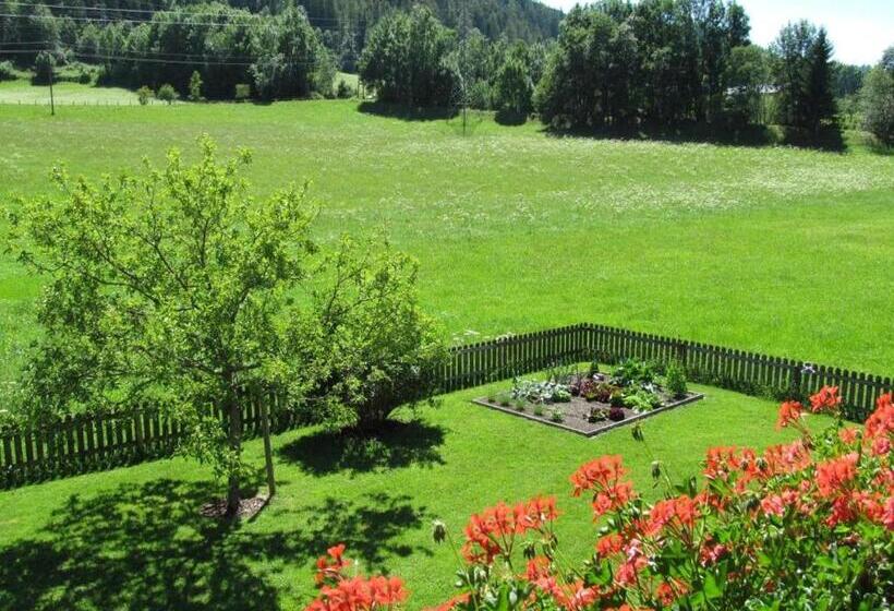 ペンション Room In Apartment Ferienhaus Kahr Appartment Rosbrand