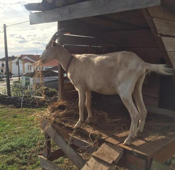 膳宿费 The Azores Homestead   Terceira