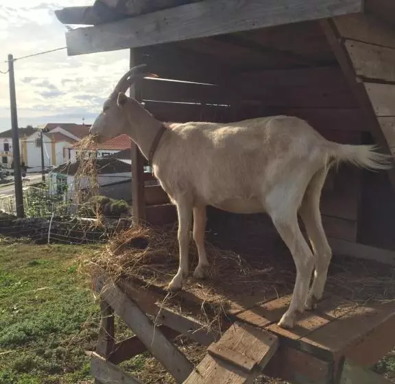 ペンション The Azores Homestead   Terceira