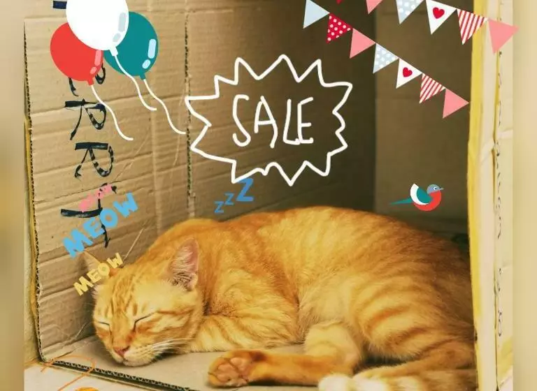 ユースホステル De​ Lanta Place