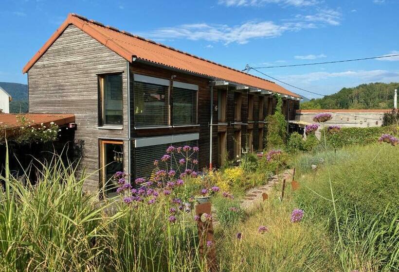 צימר Au Nid Elma