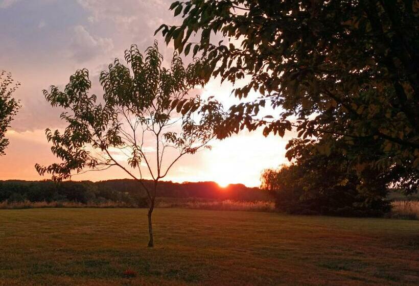 ベッドアンドブレックファースト Cadol Ain