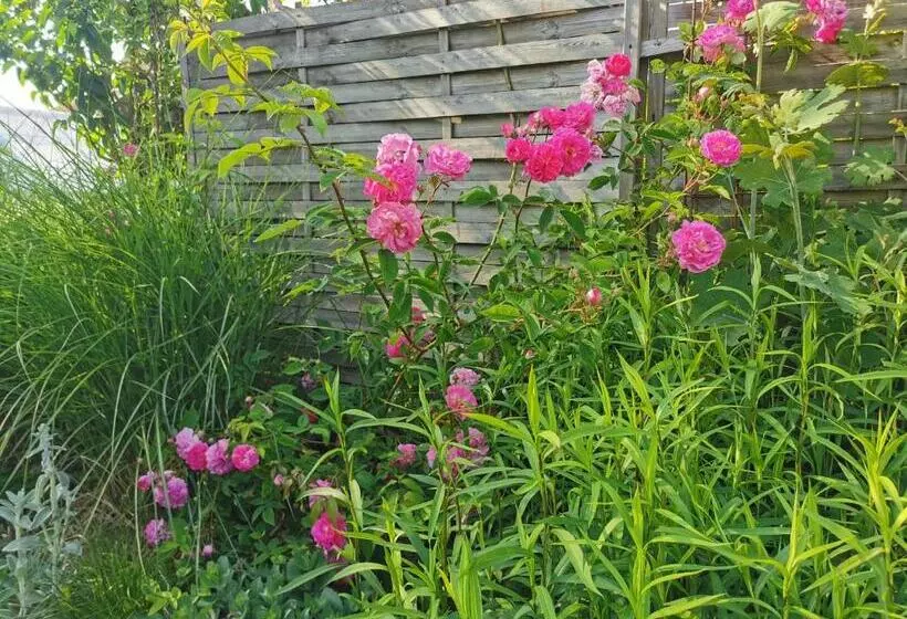 Aamiaismajoitus (B&B) La Coticia