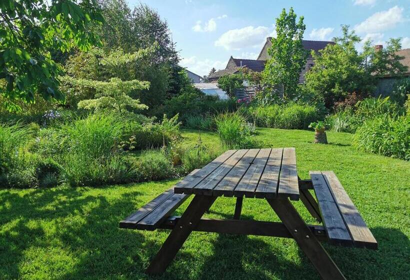 Bed and Breakfast La Coticia