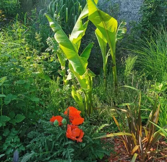 Aamiaismajoitus (B&B) La Coticia