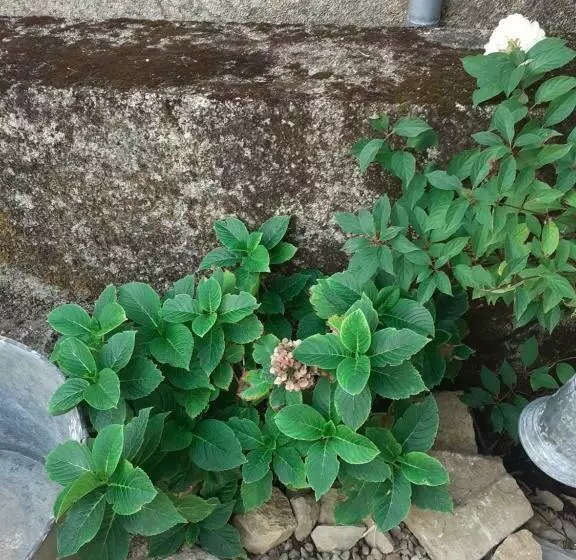 Aamiaismajoitus (B&B) La Grange