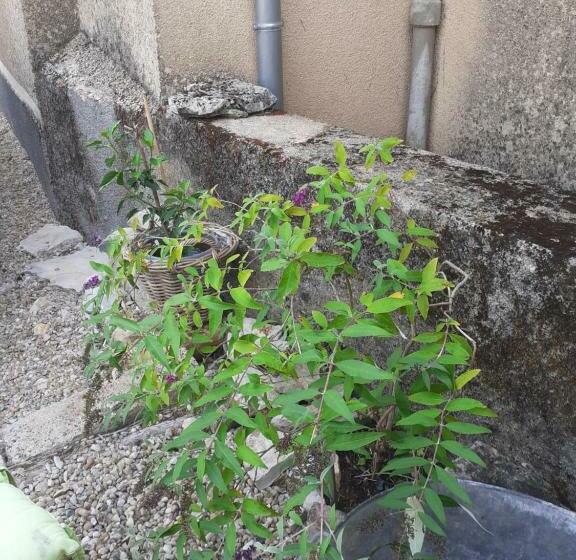 مبيت وإفطار La Grange