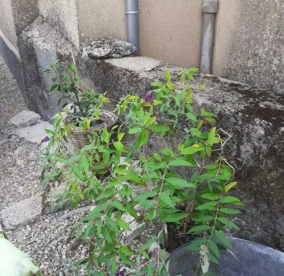 Aamiaismajoitus (B&B) La Grange