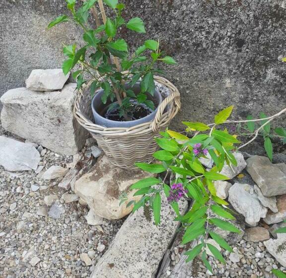 مبيت وإفطار La Grange