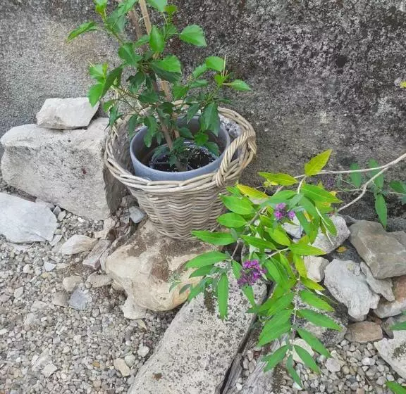 Aamiaismajoitus (B&B) La Grange