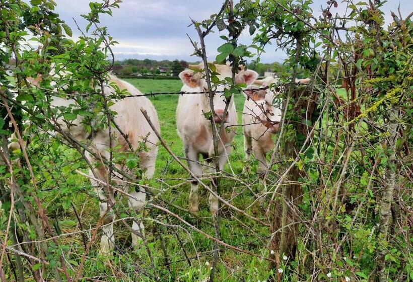 צימר Notre Village Papillon Bed&breakfast