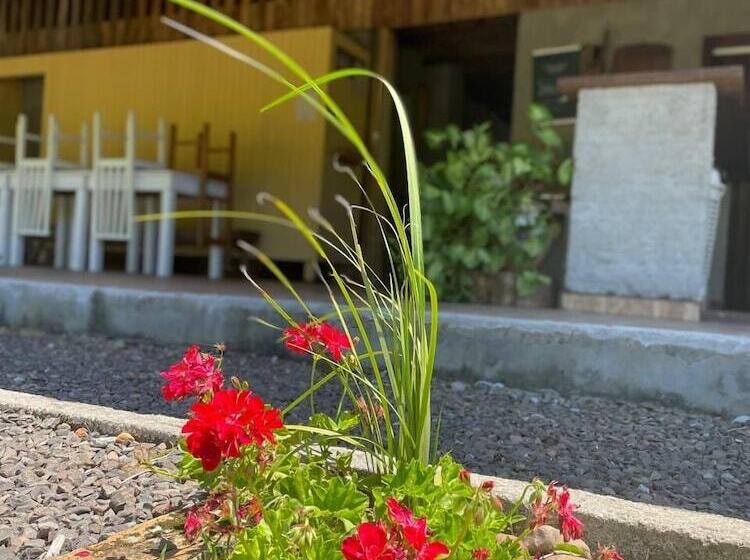 Hostel E Pousada Vale Mirante Da Rocha