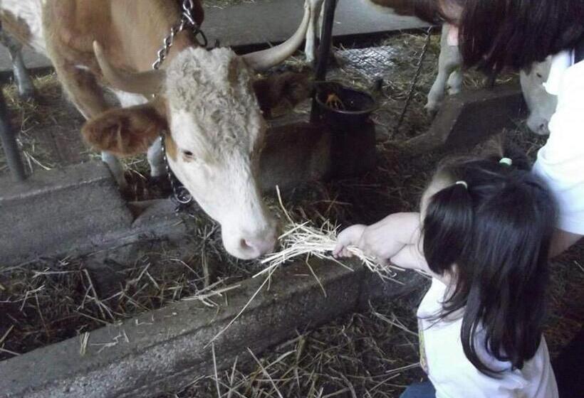 בית מלון כפרי Agriturismo Masseria Testa Ciruglio