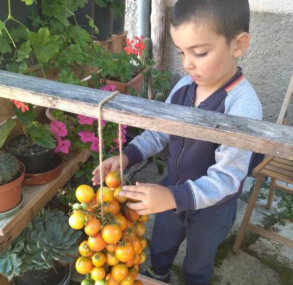 בית מלון כפרי Agriturismo Masseria Testa Ciruglio