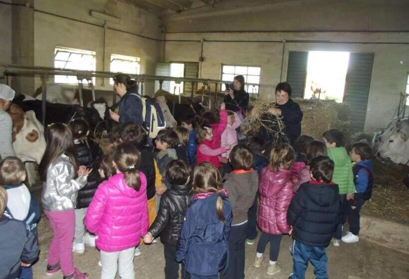 בית מלון כפרי Agriturismo Masseria Testa Ciruglio