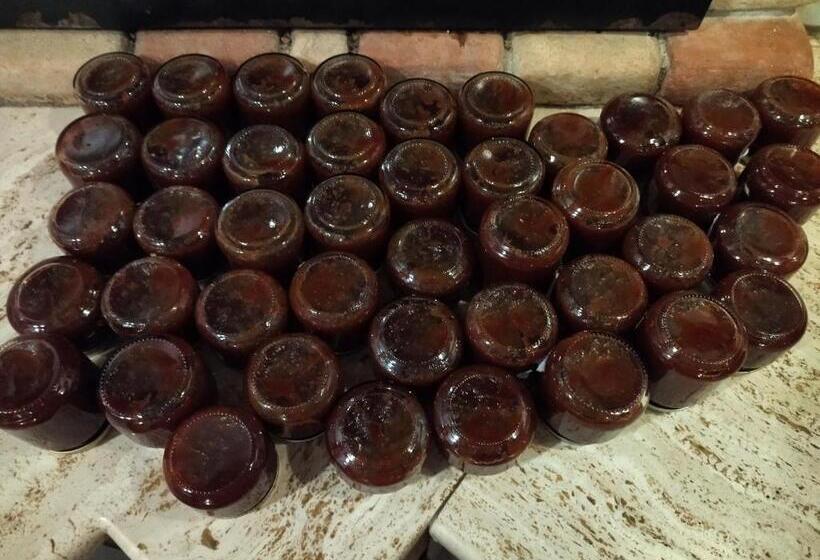 בית מלון כפרי Agriturismo Masseria Testa Ciruglio