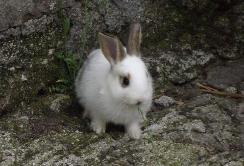 בית מלון כפרי Agriturismo Masseria Testa Ciruglio