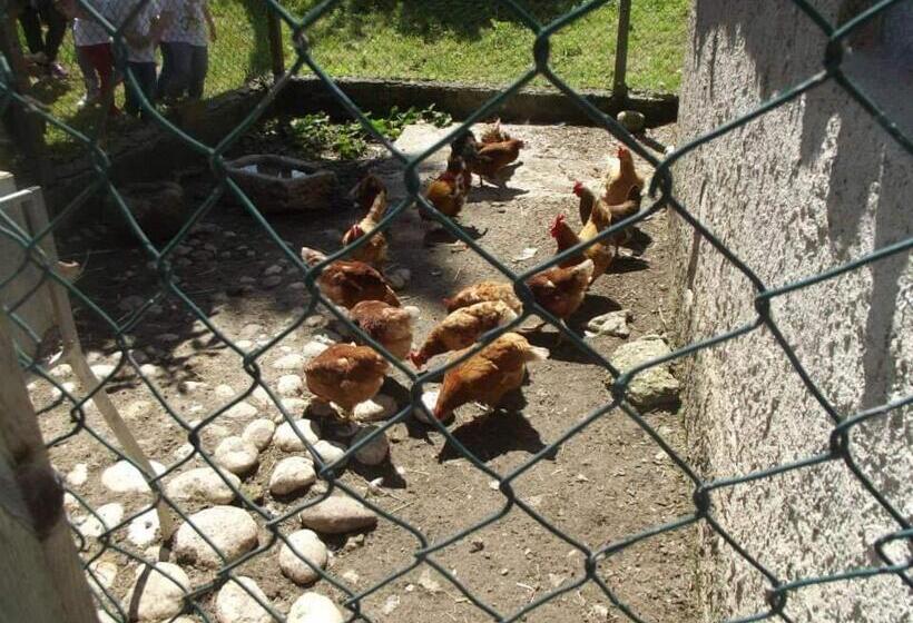 בית מלון כפרי Agriturismo Masseria Testa Ciruglio