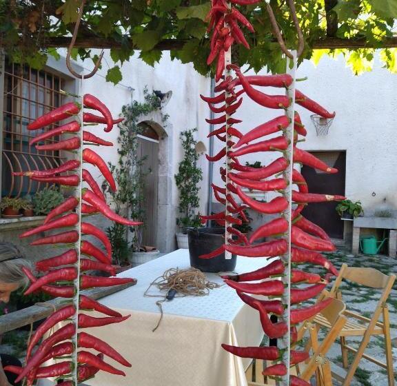 בית מלון כפרי Agriturismo Masseria Testa Ciruglio