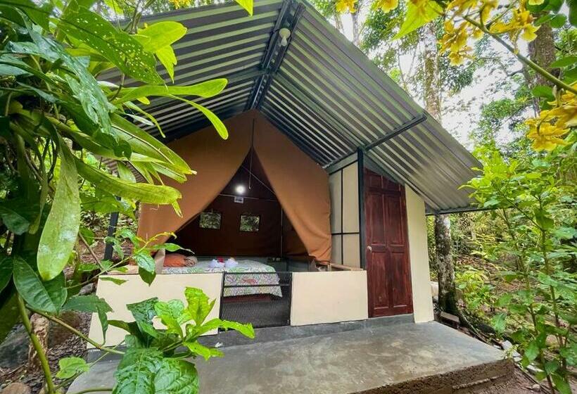 酒店 Guapote Lodge