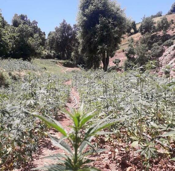 بنسيون Ketama House