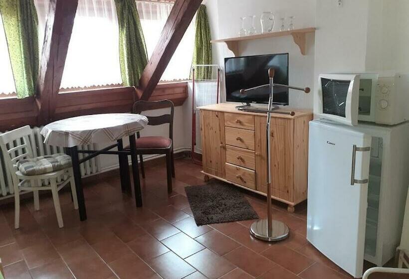 פנסיון Penzion Na Zámostí Malenice