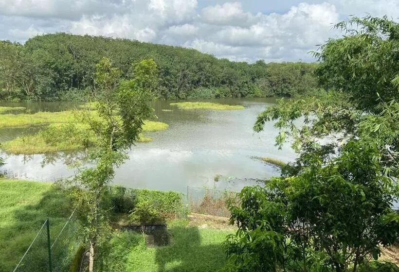 ペンション Savenndra