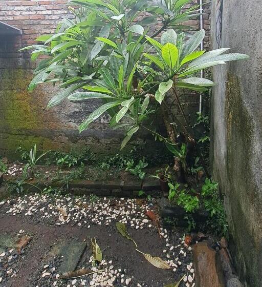 פנסיון Suburdi Guest House