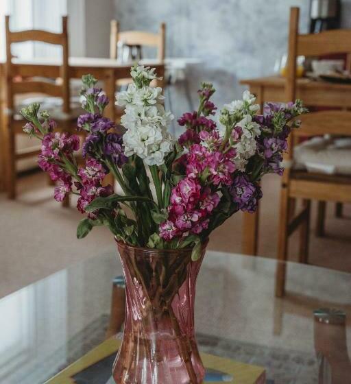 Sunbeam Bed And Breakfast