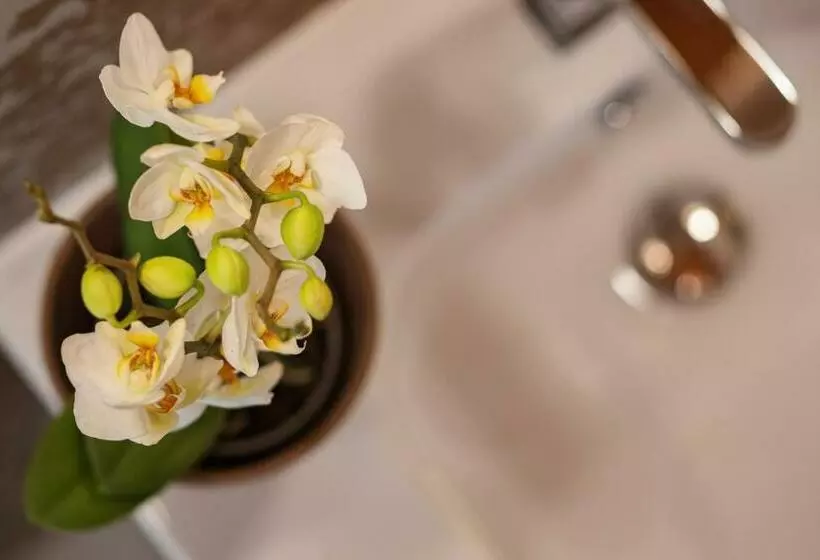 Aamiaismajoitus (B&B) Corte Degli Ostinati